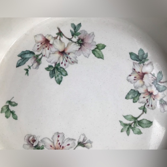 Adams Azalea 8” Baker - Picture 2 of 8